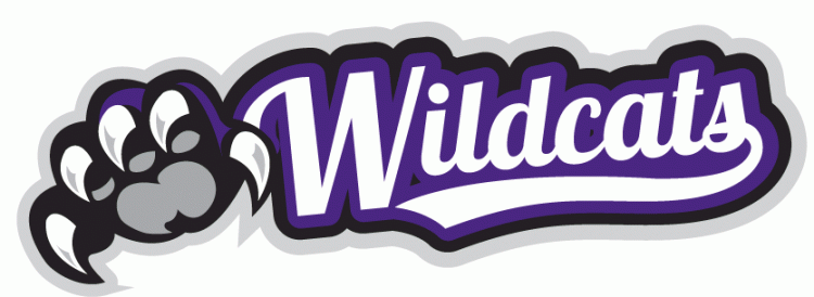 Weber State Wildcats 2012-Pres Misc Logo t shirts iron on transfers